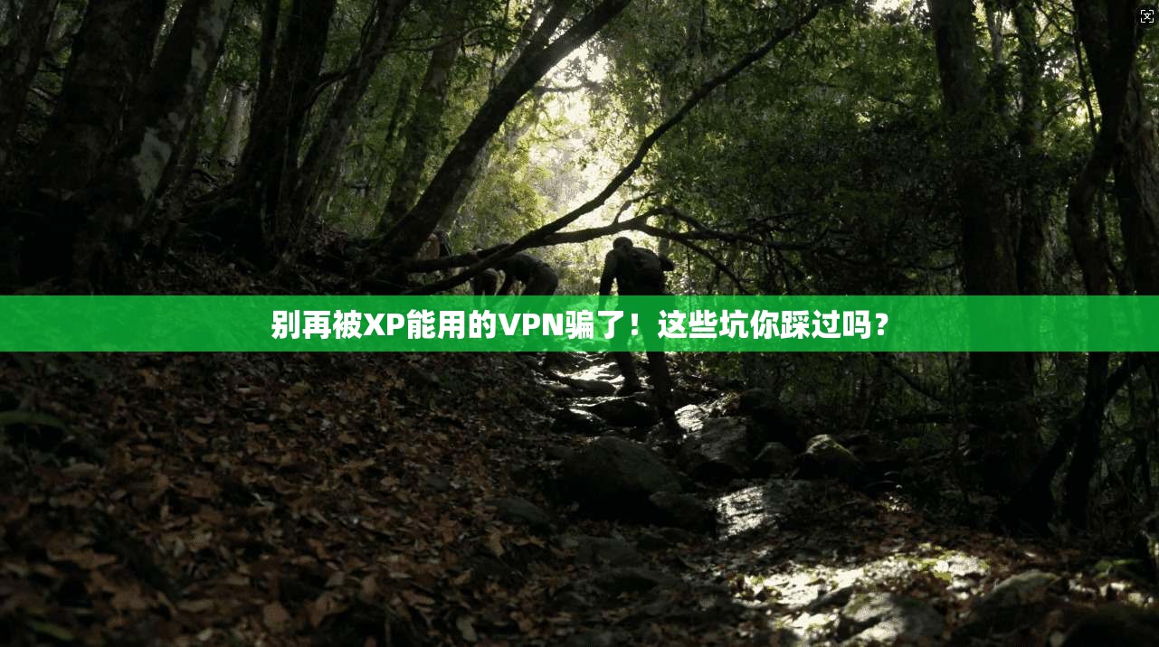 别再被XP能用的VPN骗了！这些坑你踩过吗？