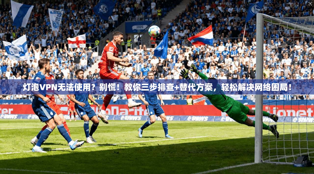 灯泡VPN无法使用？别慌！教你三步排查+替代方案，轻松解决网络困局！