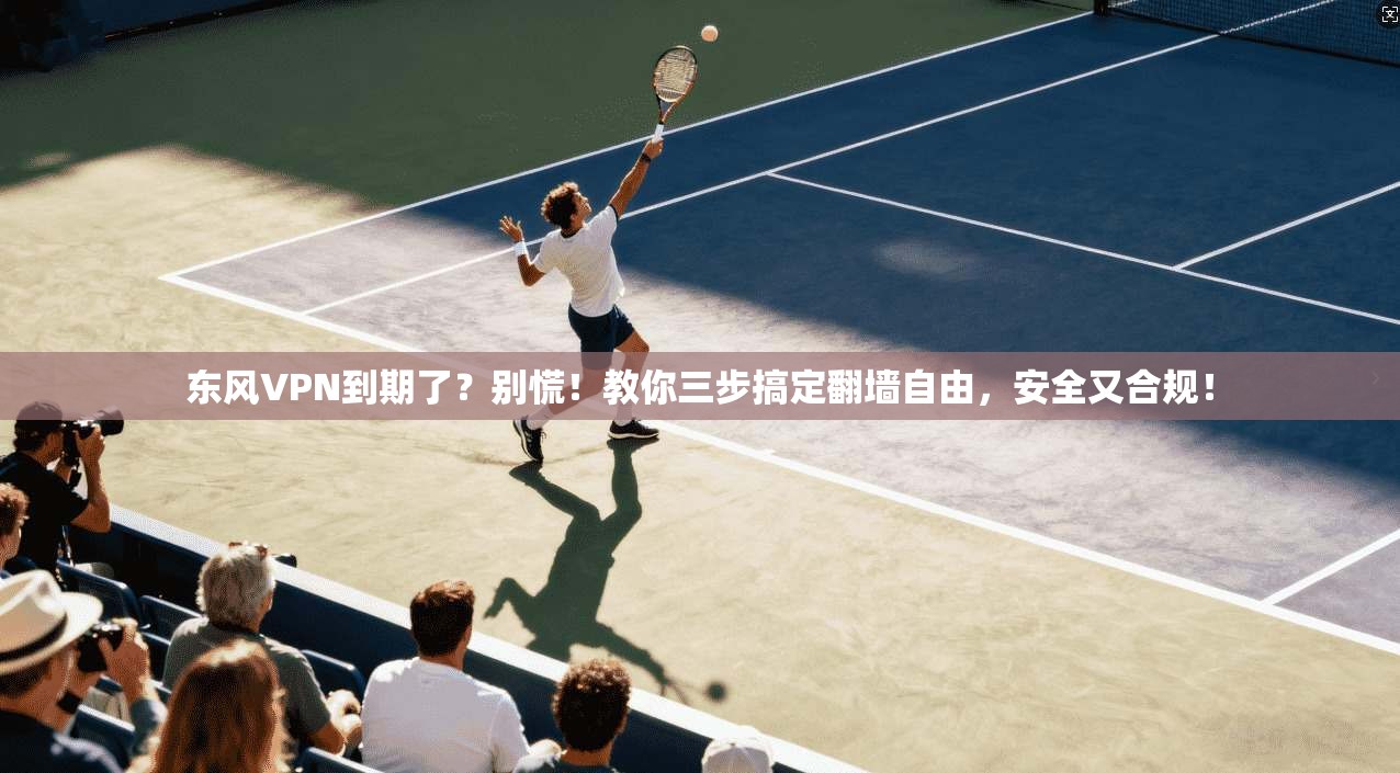 东风VPN到期了？别慌！教你三步搞定翻墙自由，安全又合规！