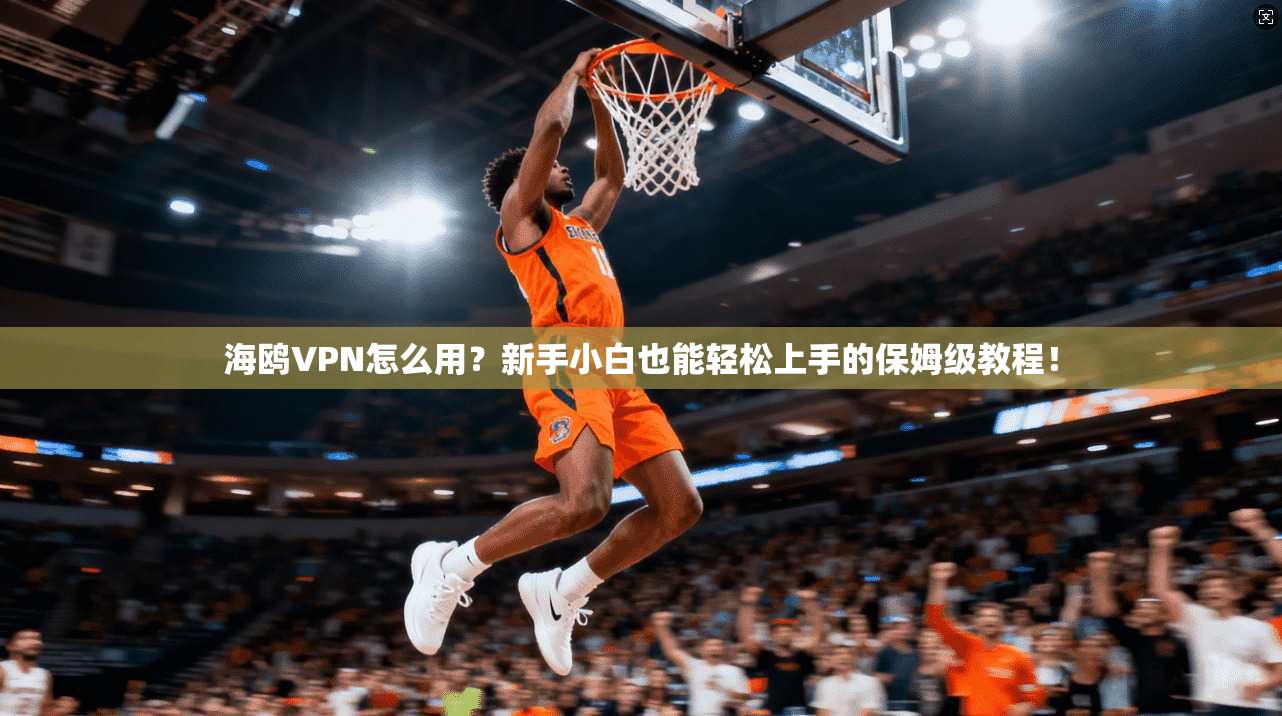 海鸥VPN怎么用?新手小白也能轻松上手的保姆级教程!