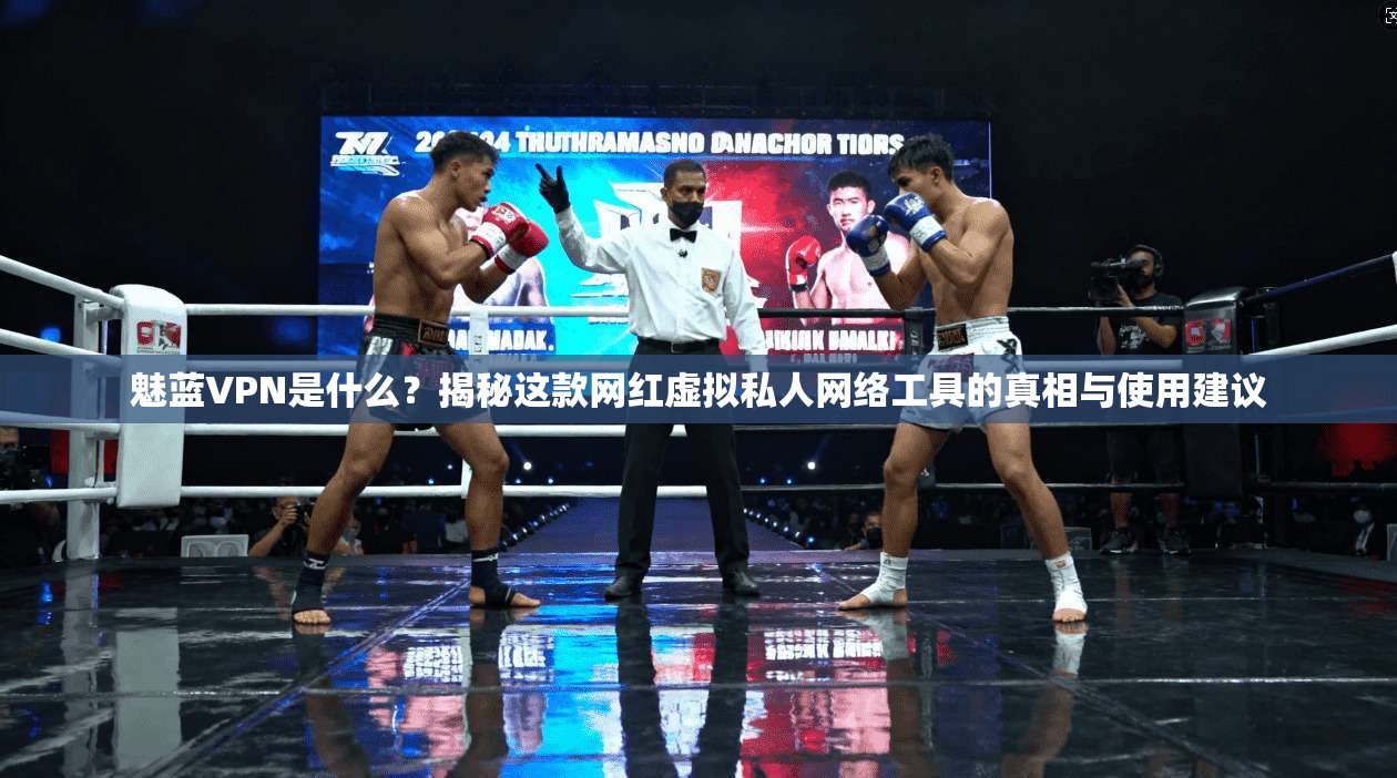 魅蓝VPN是什么？揭秘这款网红虚拟私人网络工具的真相与使用建议