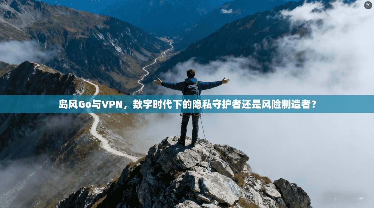岛风Go与VPN,数字时代下的隐私守护者还是风险制造者? 岛风Go与VPN,数字时代下的隐私守护者还是风险制造者?
