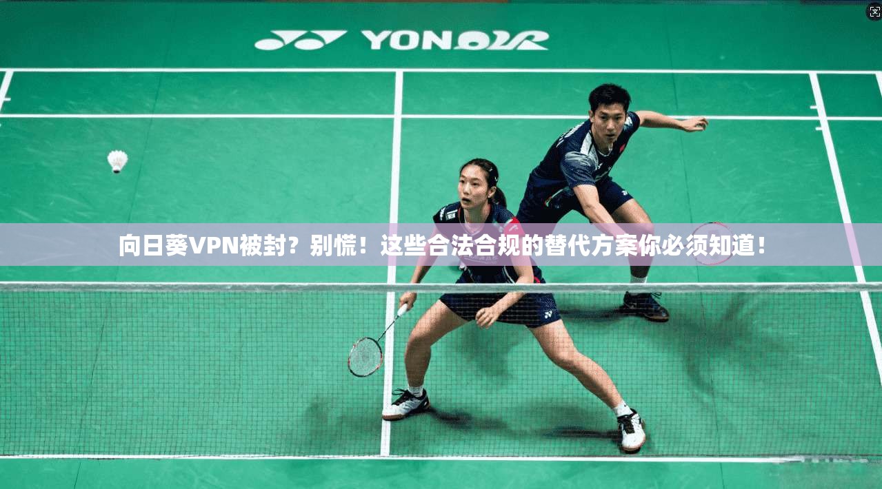 向日葵VPN被封？别慌！这些合法合规的替代方案你必须知道！