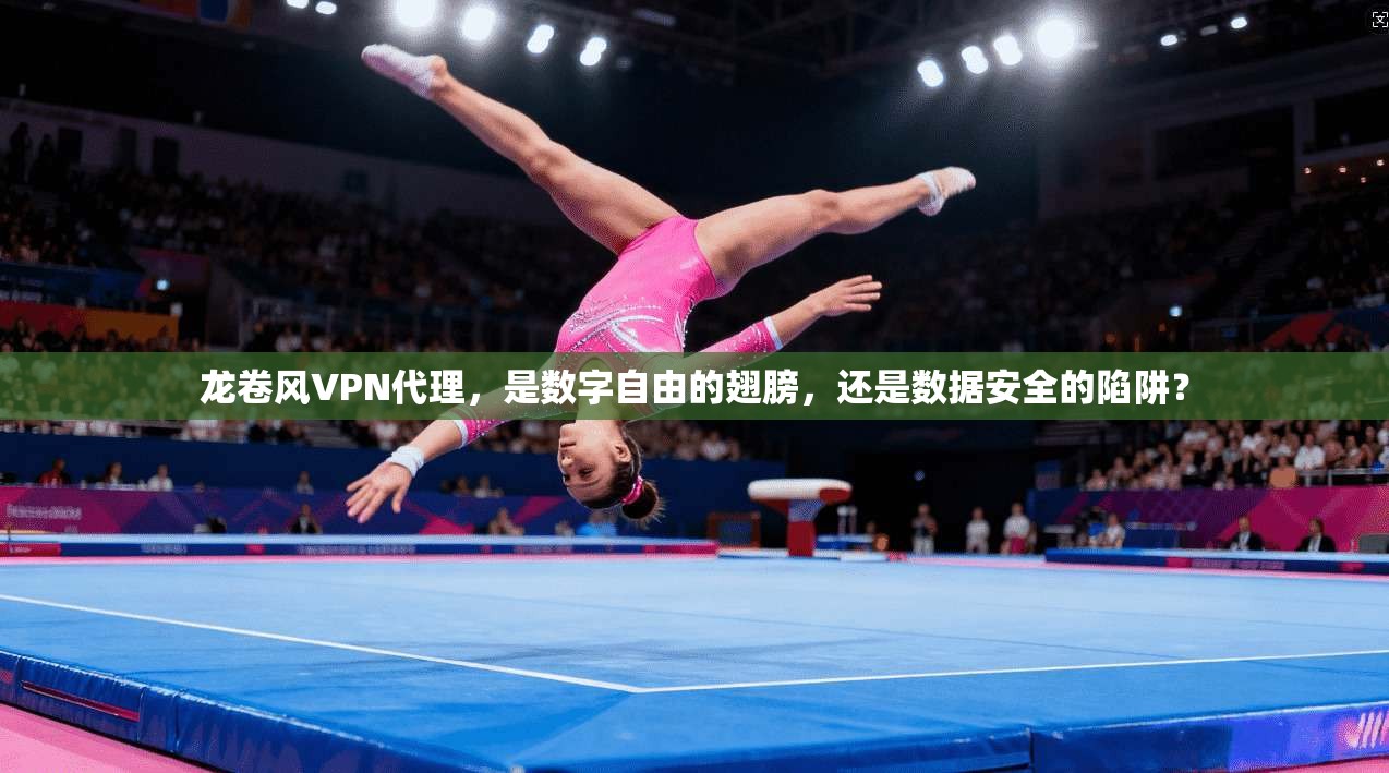 龙卷风VPN代理,是数字自由的翅膀,还是数据安全的陷阱?