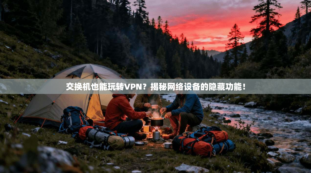 交换机也能玩转VPN？揭秘网络设备的隐藏功能！