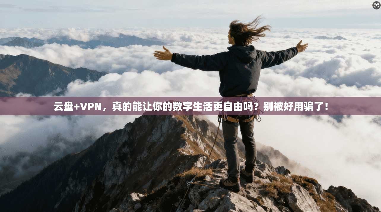 云盘+VPN,真的能让你的数字生活更自由吗?别被好用骗了!