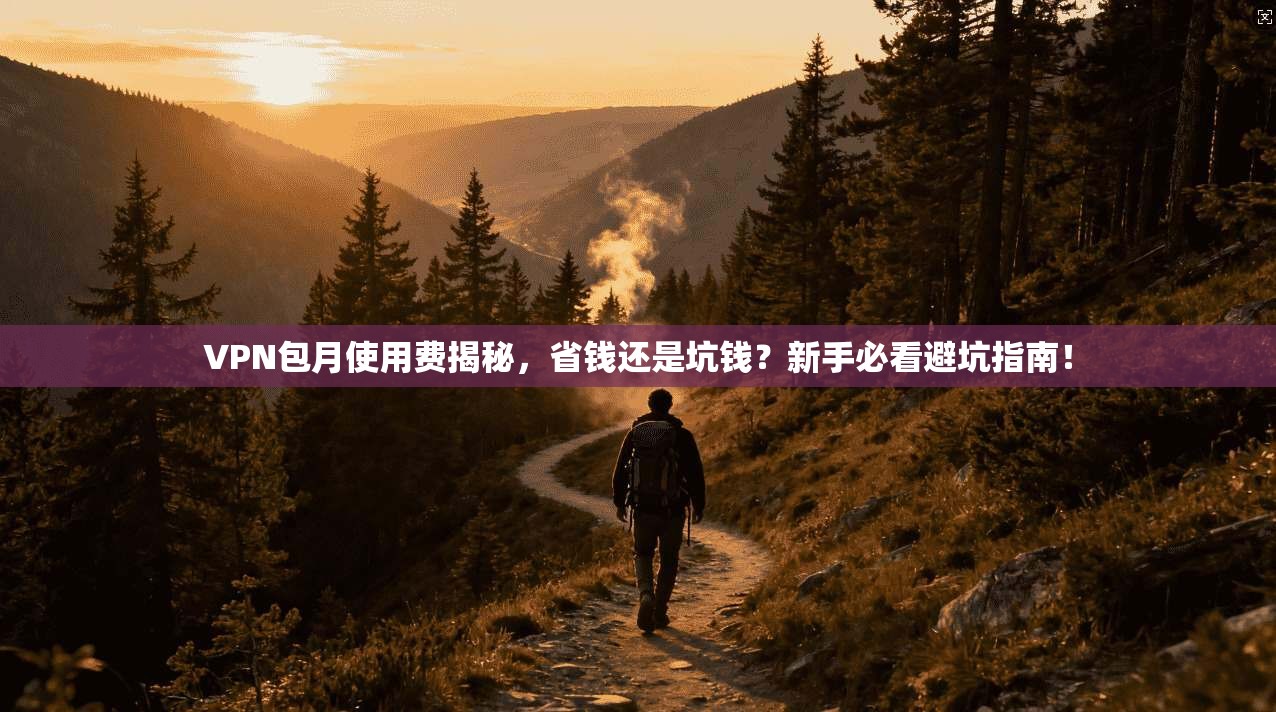 VPN包月使用费揭秘,省钱还是坑钱?新手必看避坑指南!