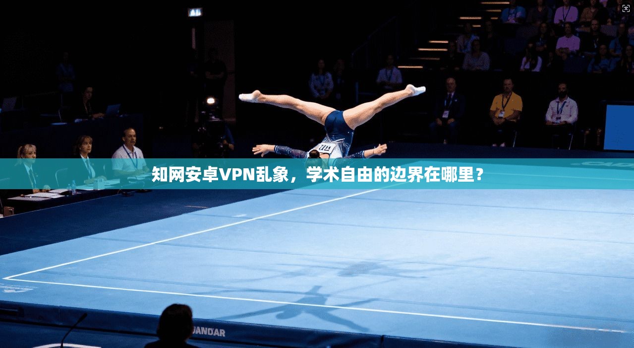 知网安卓VPN乱象,学术自由的边界在哪里?