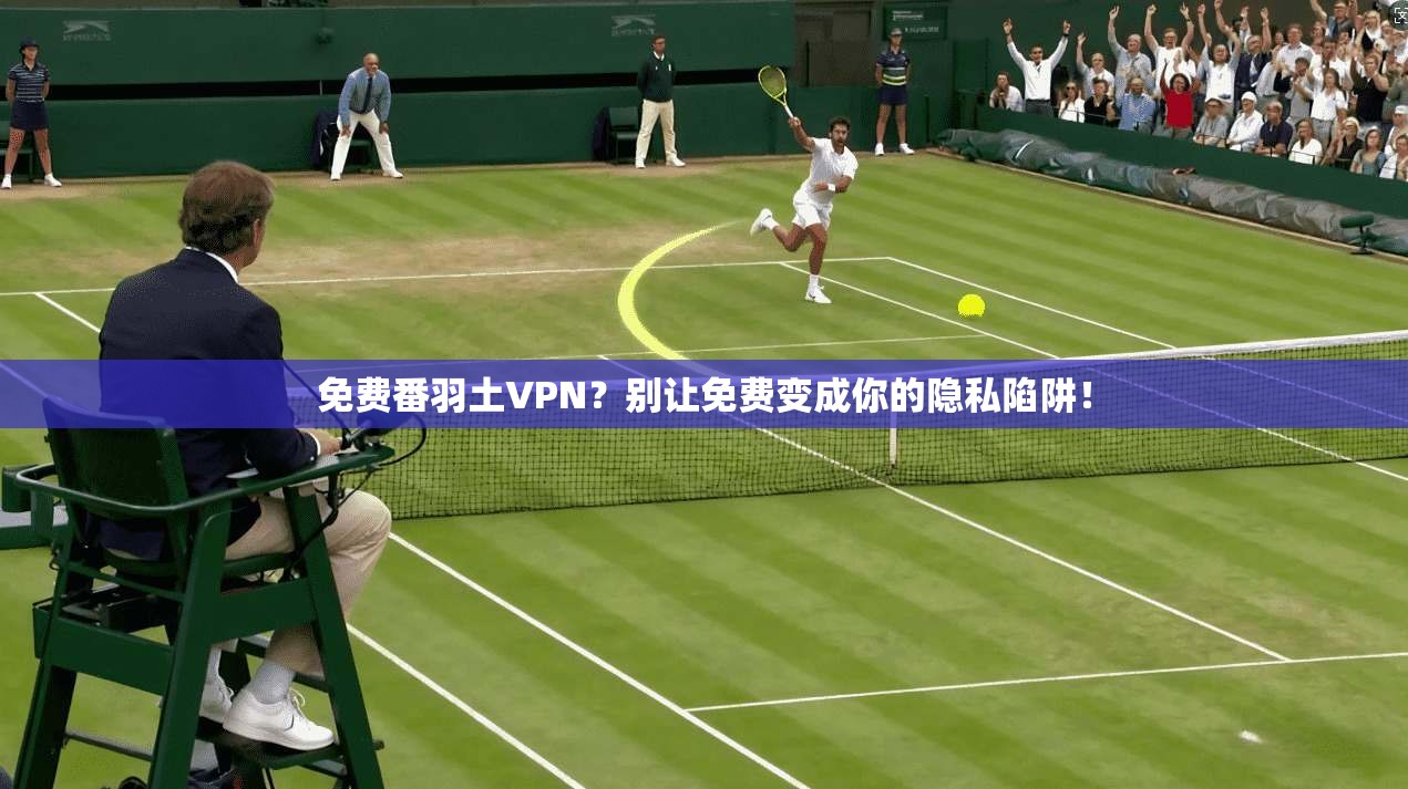 免费番羽土VPN?别让免费变成你的隐私陷阱!