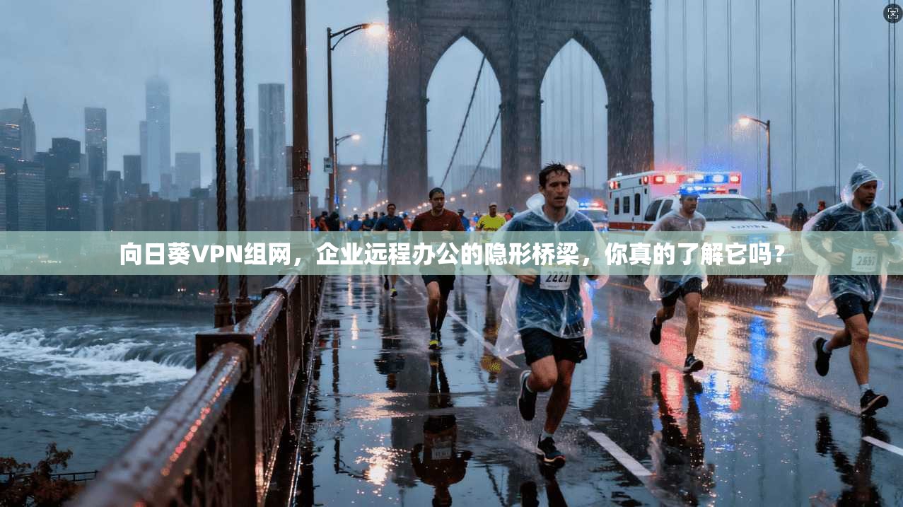 向日葵VPN组网，企业远程办公的隐形桥梁，你真的了解它吗？