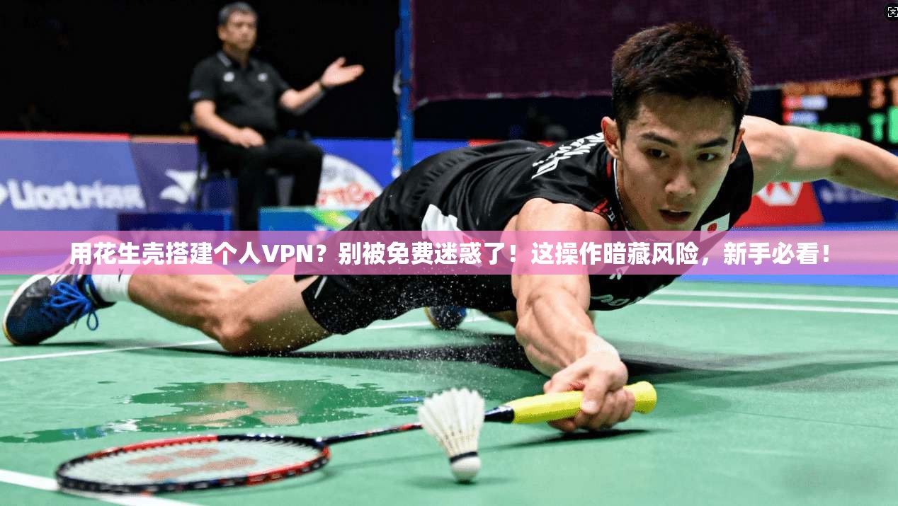 用花生壳搭建个人VPN？别被免费迷惑了！这操作暗藏风险，新手必看！