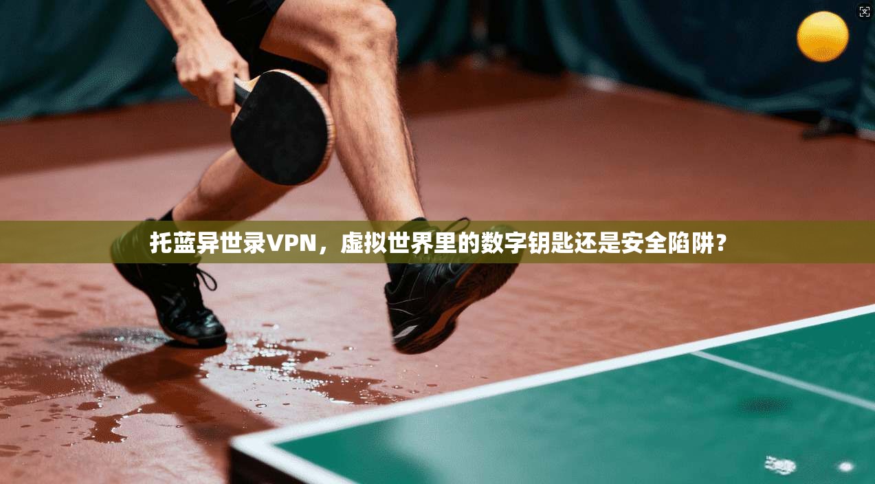 托蓝异世录VPN，虚拟世界里的数字钥匙还是安全陷阱？
