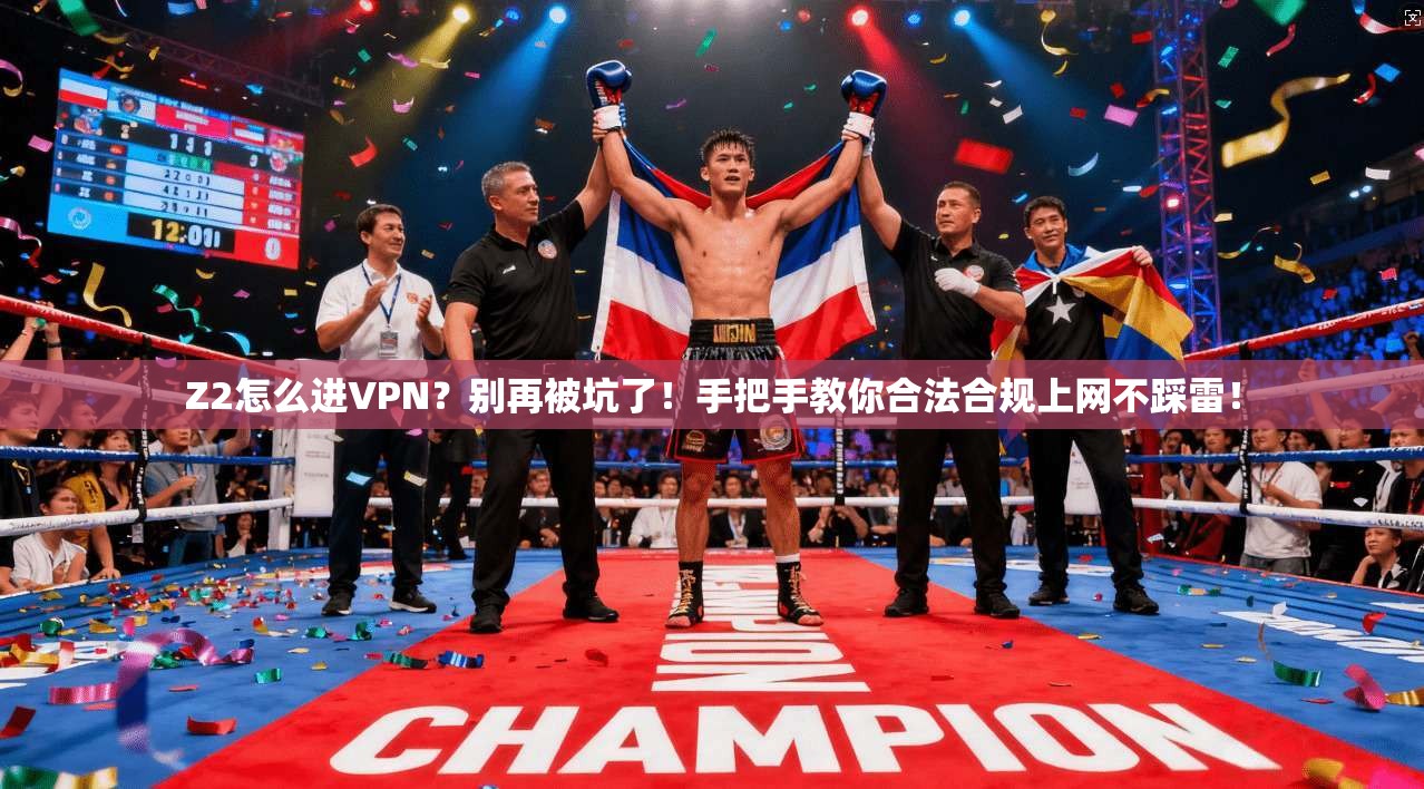Z2怎么进VPN？别再被坑了！手把手教你合法合规上网不踩雷！