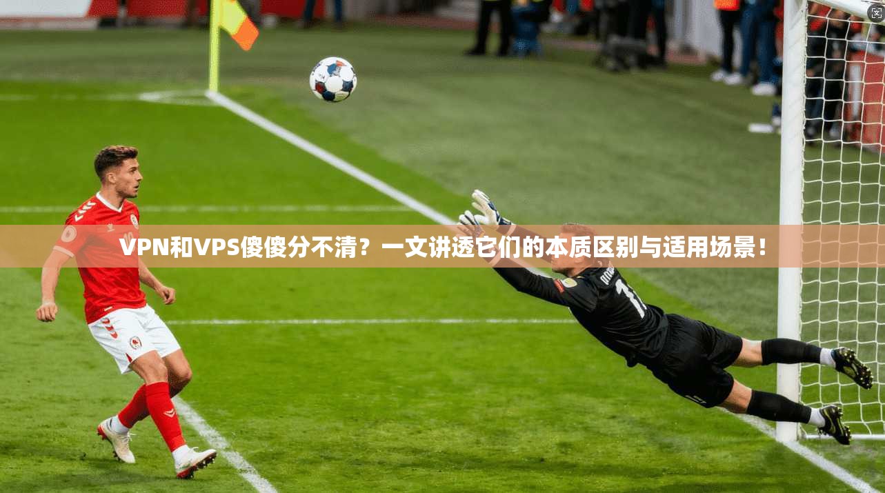 VPN和VPS傻傻分不清？一文讲透它们的本质区别与适用场景！