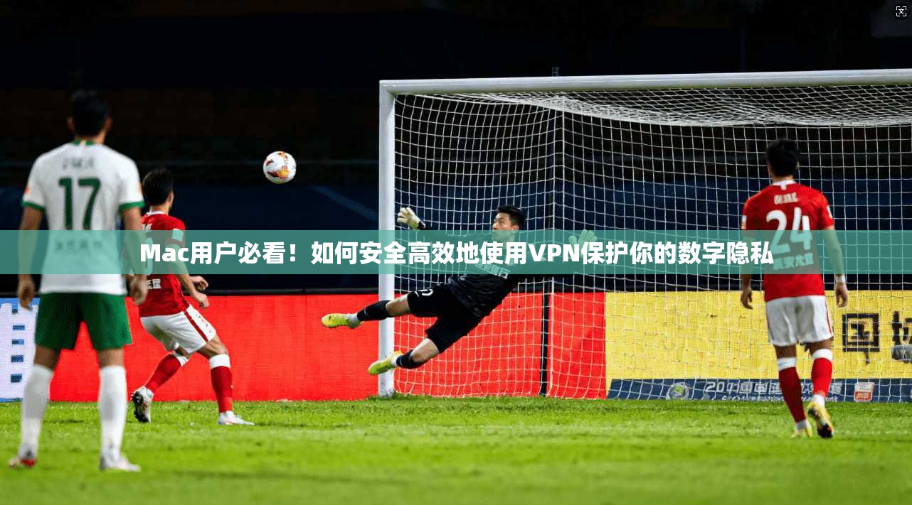 Mac用户必看！如何安全高效地使用VPN保护你的数字隐私