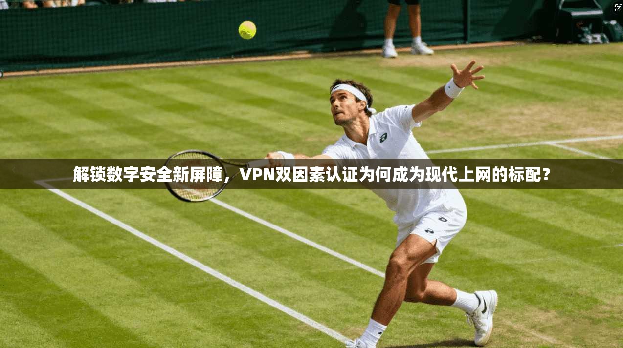 解锁数字安全新屏障，VPN双因素认证为何成为现代上网的标配？