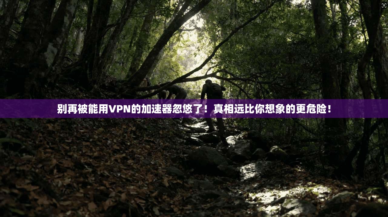 别再被能用VPN的加速器忽悠了！真相远比你想象的更危险！
