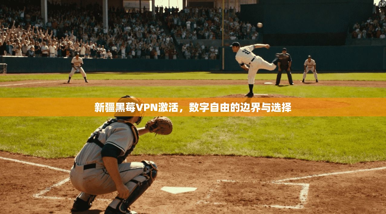 新疆黑莓VPN激活，数字自由的边界与选择