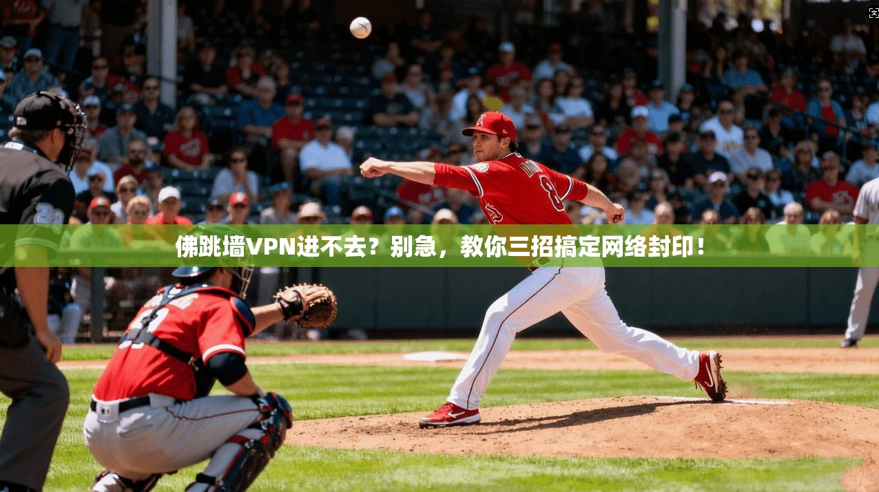 佛跳墙VPN进不去？别急，教你三招搞定网络封印！