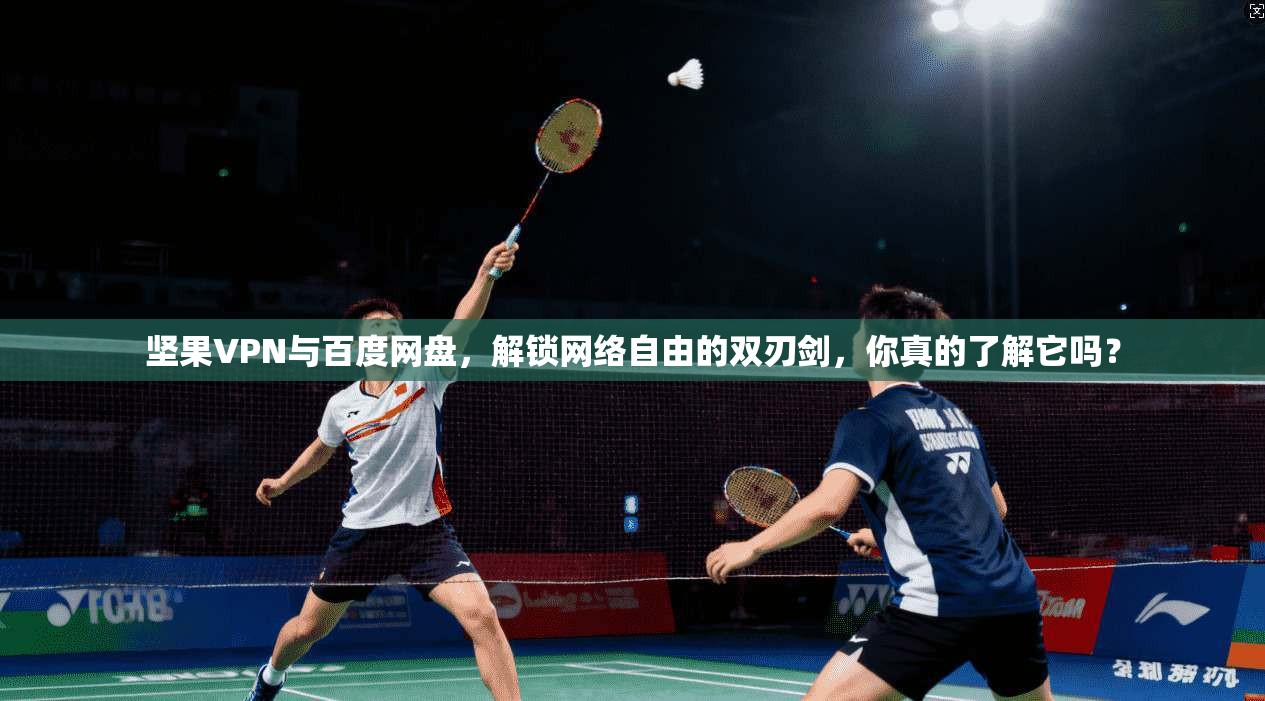 坚果VPN与百度网盘，解锁网络自由的双刃剑，你真的了解它吗？
