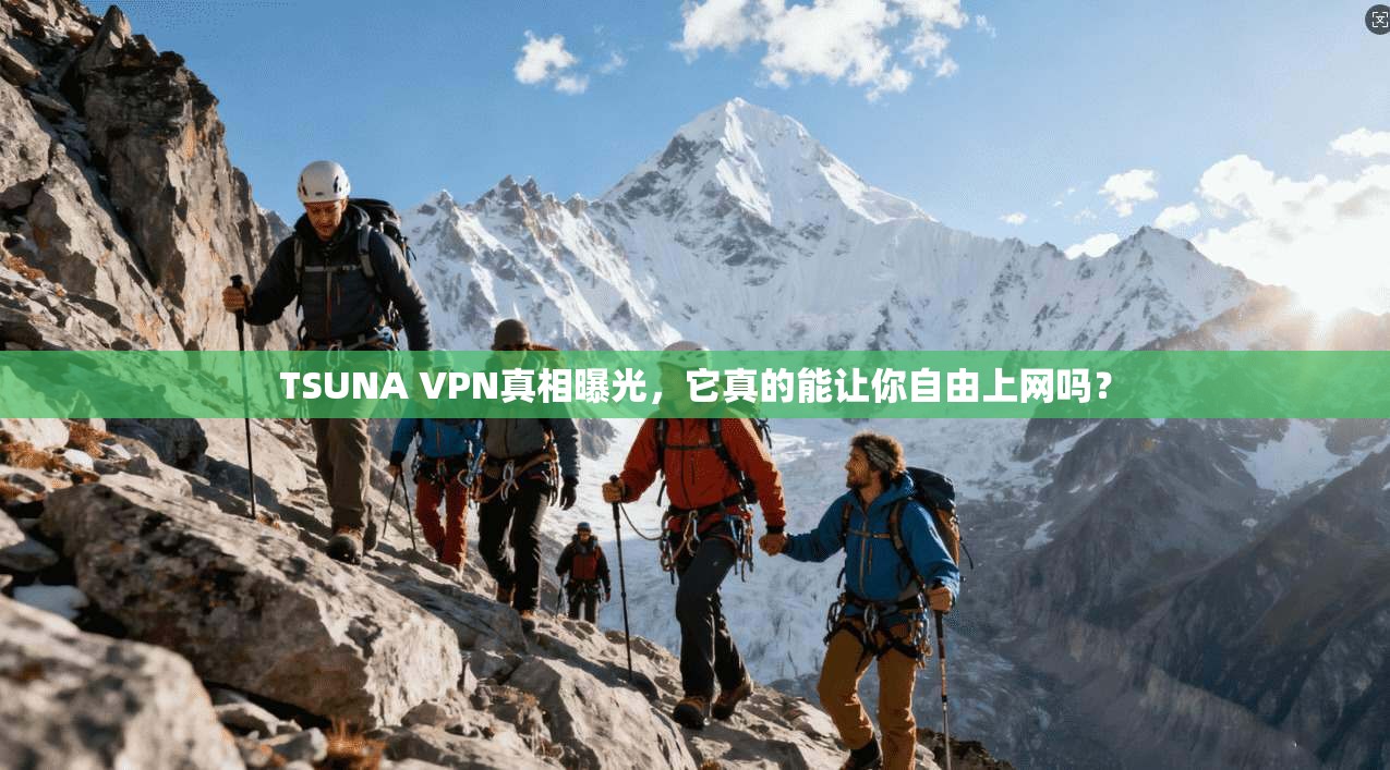 TSUNA VPN真相曝光，它真的能让你自由上网吗？