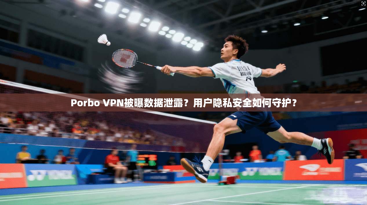 Porbo VPN被曝数据泄露？用户隐私安全如何守护？