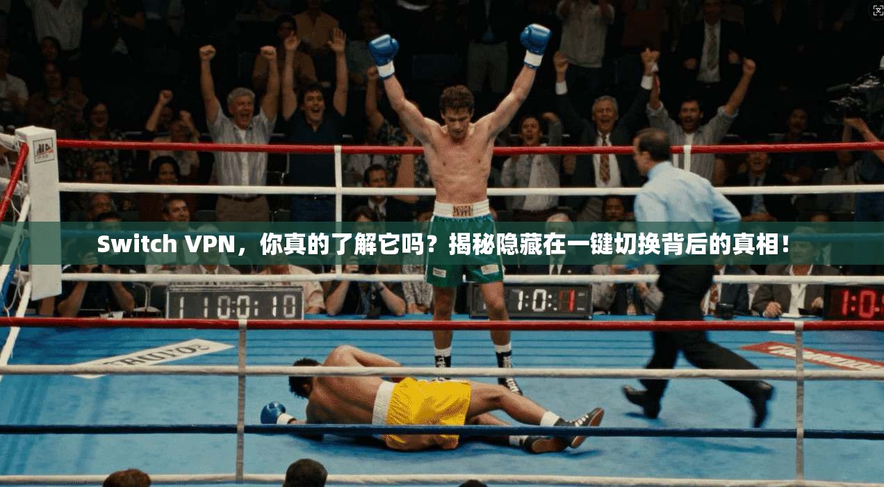 Switch VPN，你真的了解它吗？揭秘隐藏在一键切换背后的真相！