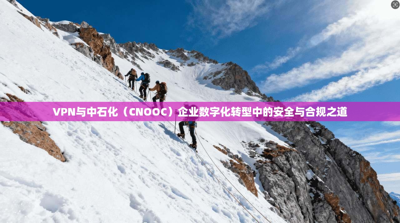 VPN与中石化（CNOOC）企业数字化转型中的安全与合规之道