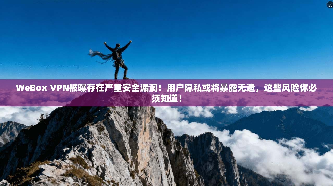 WeBox VPN被曝存在严重安全漏洞！用户隐私或将暴露无遗，这些风险你必须知道！