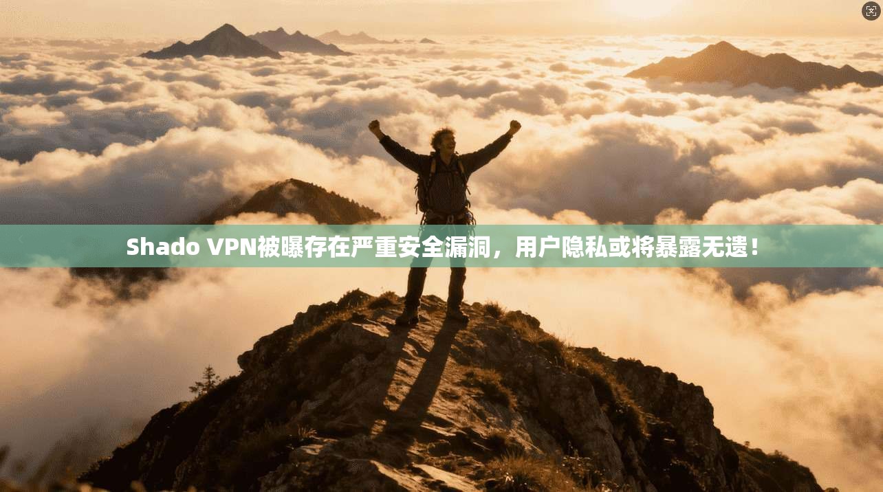 Shado VPN被曝存在严重安全漏洞，用户隐私或将暴露无遗！
