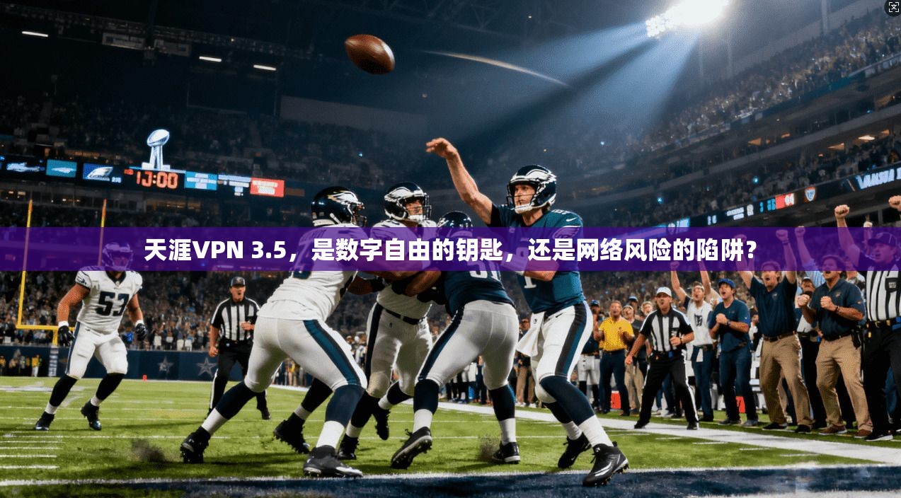 天涯VPN 3.5，是数字自由的钥匙，还是网络风险的陷阱？
