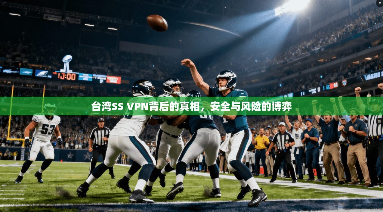 台湾SS VPN背后的真相，安全与风险的博弈