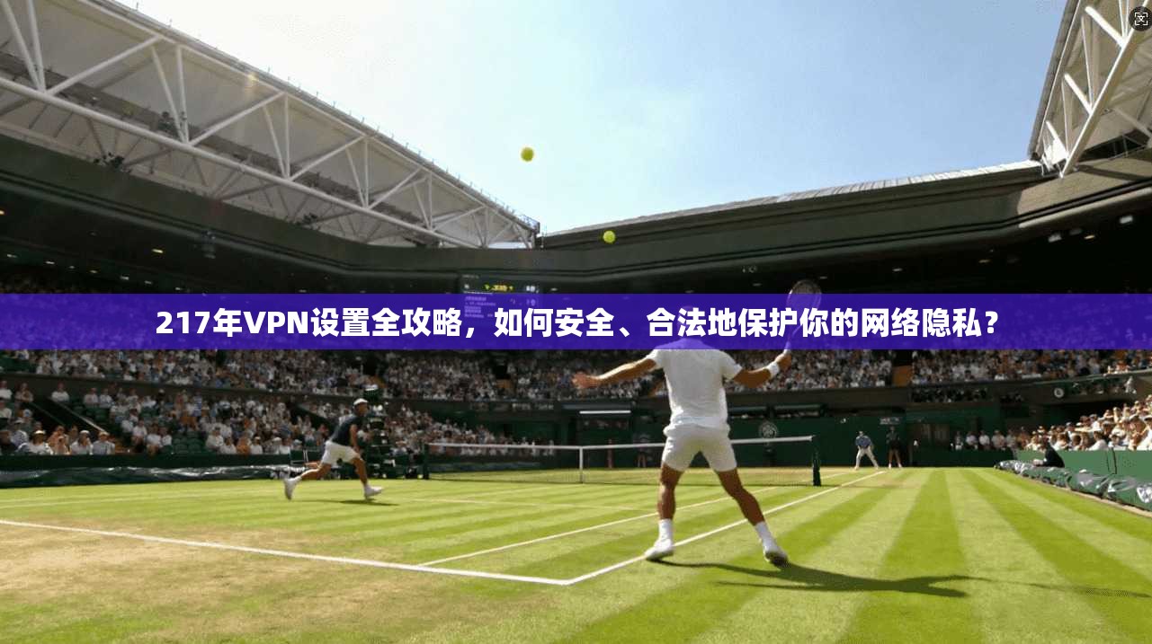 217年VPN设置全攻略，如何安全、合法地保护你的网络隐私？