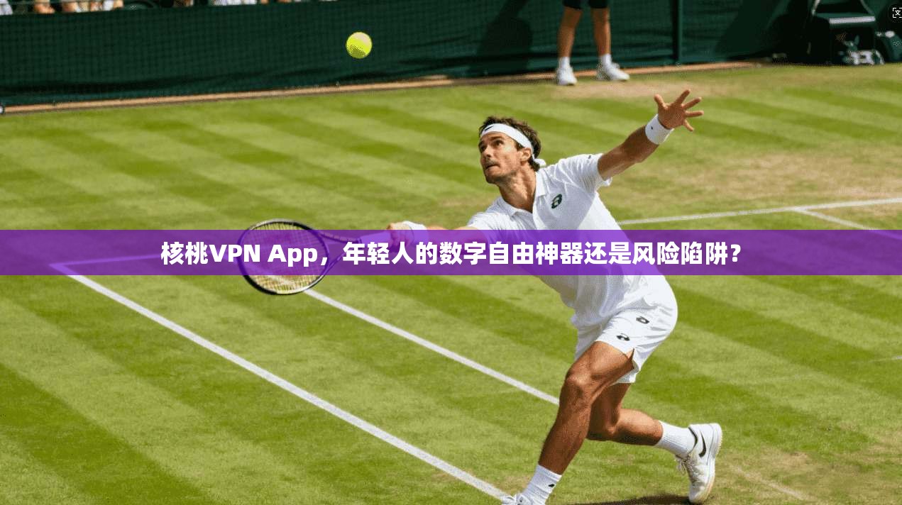 核桃VPN App，年轻人的数字自由神器还是风险陷阱？