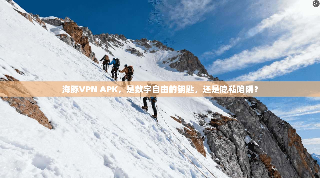 海豚VPN APK，是数字自由的钥匙，还是隐私陷阱？