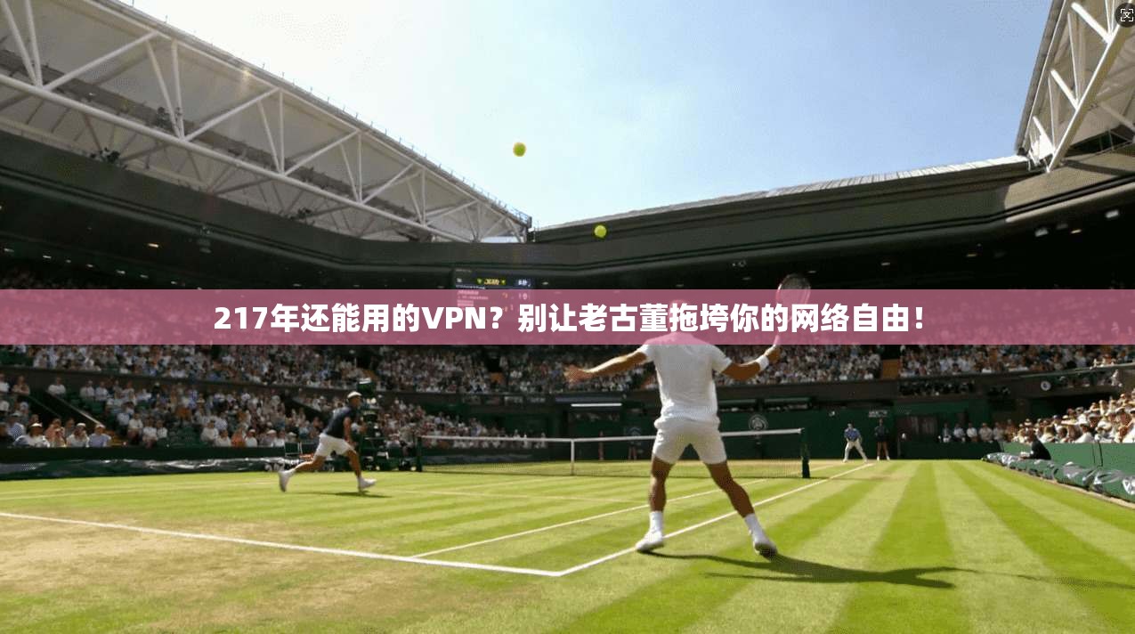 217年还能用的VPN？别让老古董拖垮你的网络自由！