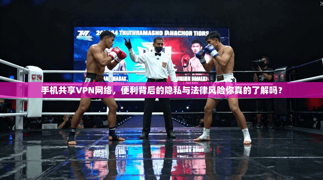 手机共享VPN网络，便利背后的隐私与法律风险你真的了解吗？