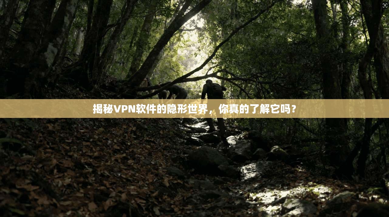揭秘VPN软件的隐形世界，你真的了解它吗？