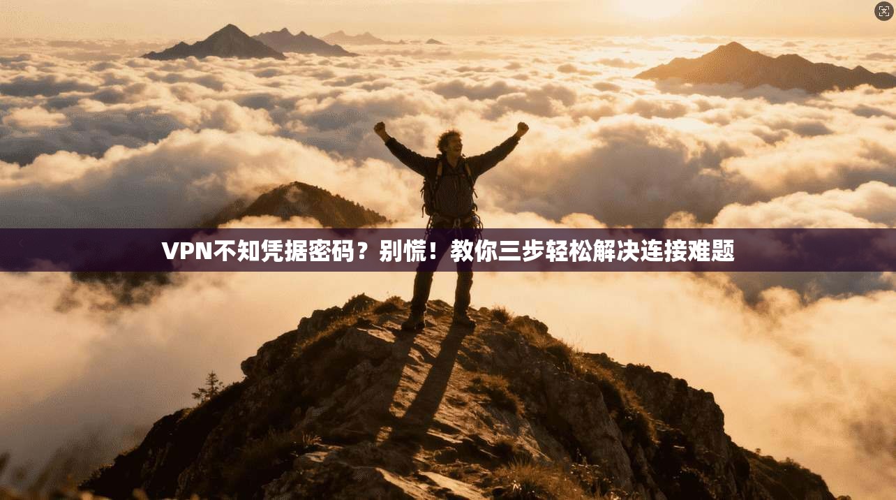 VPN不知凭据密码？别慌！教你三步轻松解决连接难题