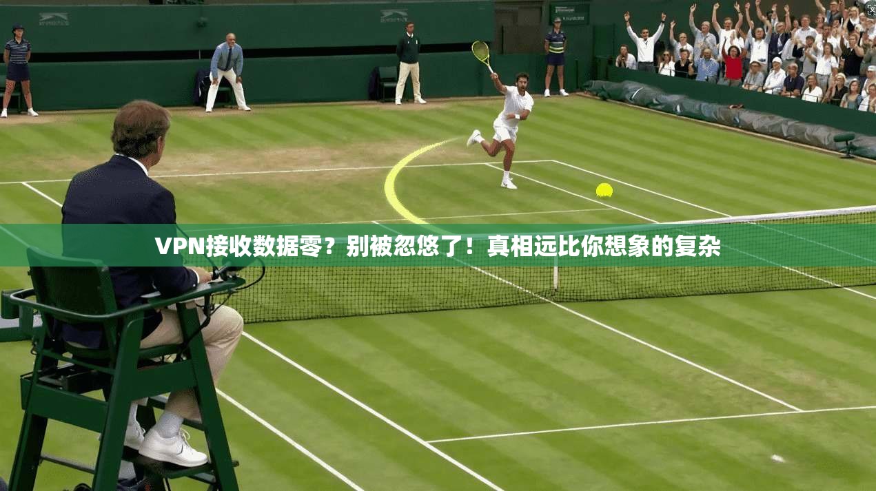 VPN接收数据零？别被忽悠了！真相远比你想象的复杂