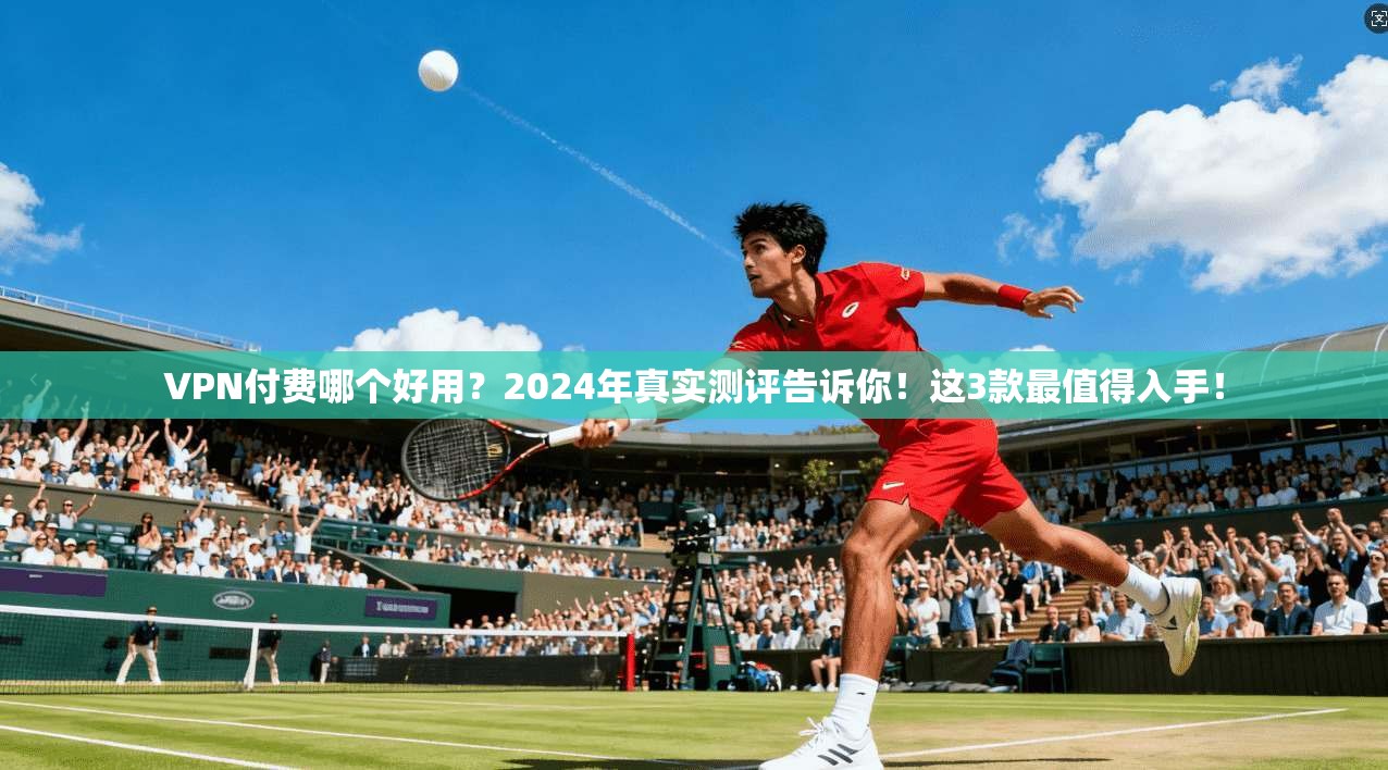 VPN付费哪个好用？2024年真实测评告诉你！这3款最值得入手！
