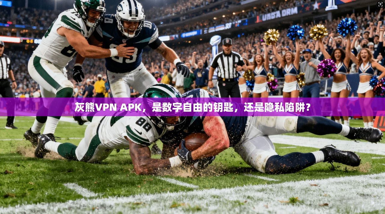 灰熊VPN APK，是数字自由的钥匙，还是隐私陷阱？