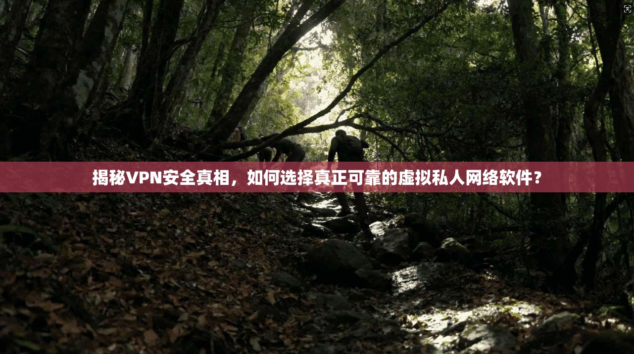 揭秘VPN安全真相，如何选择真正可靠的虚拟私人网络软件？