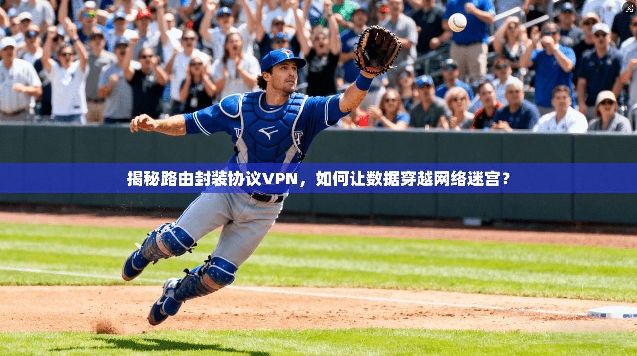 揭秘路由封装协议VPN，如何让数据穿越网络迷宫？