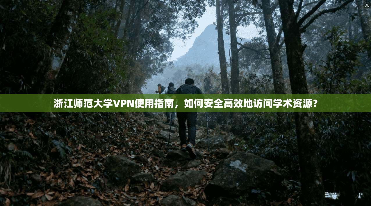 浙江师范大学VPN使用指南，如何安全高效地访问学术资源？