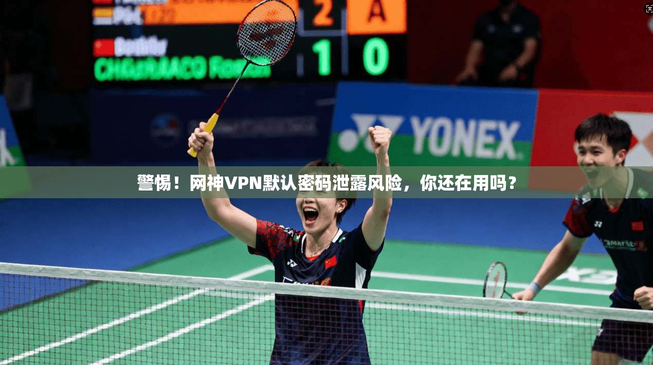 警惕！网神VPN默认密码泄露风险，你还在用吗？