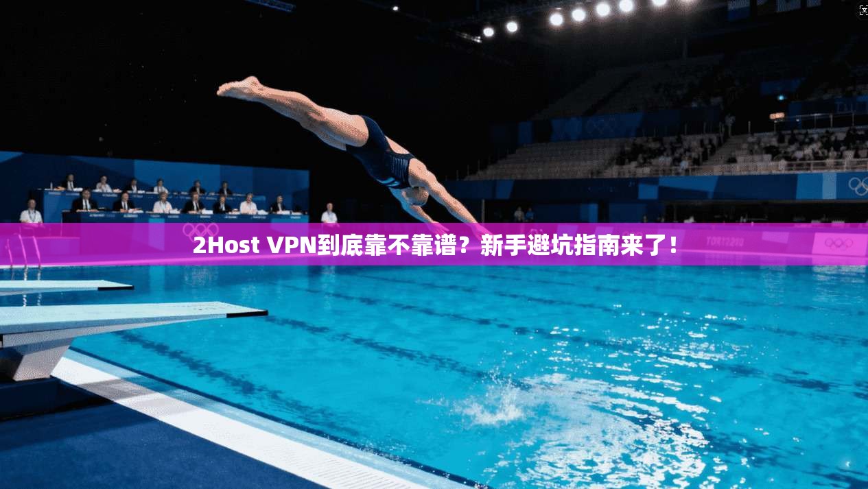 2Host VPN到底靠不靠谱？新手避坑指南来了！