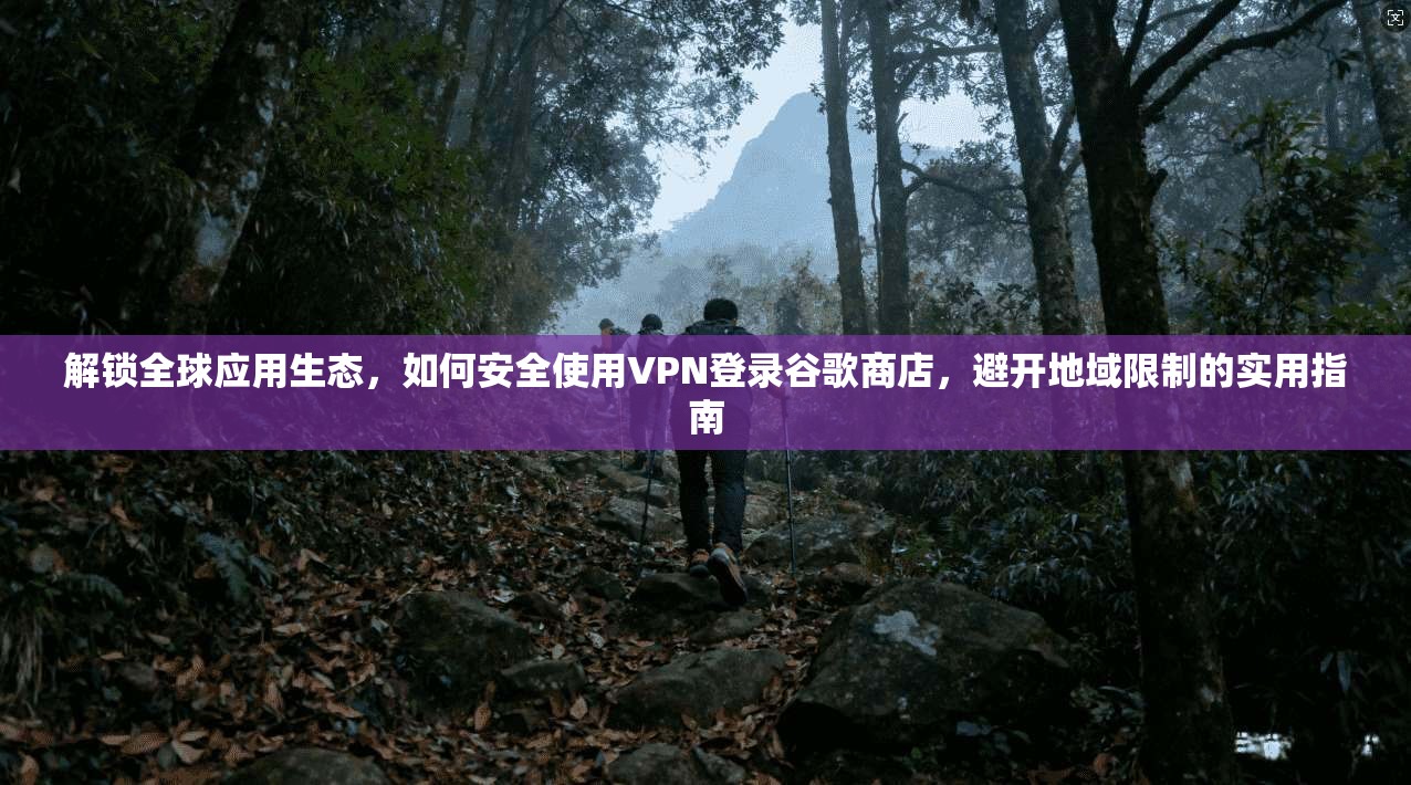 解锁全球应用生态，如何安全使用VPN登录谷歌商店，避开地域限制的实用指南