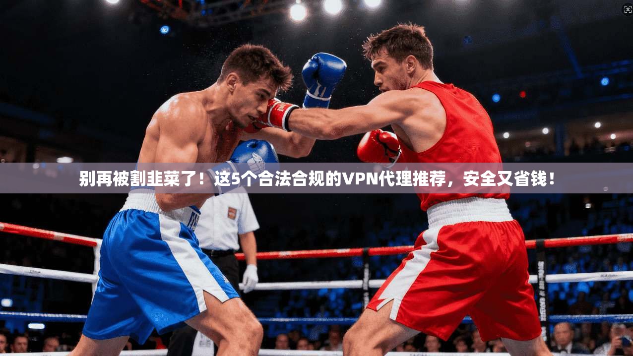 别再被割韭菜了！这5个合法合规的VPN代理推荐，安全又省钱！