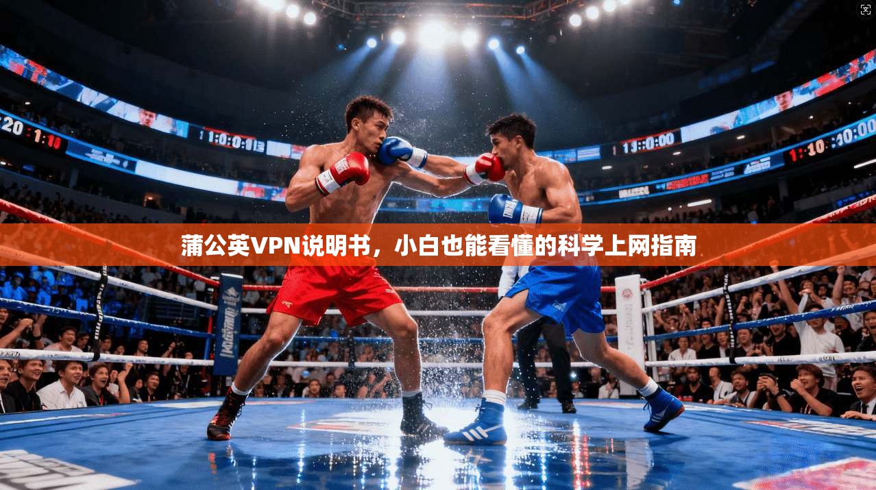 蒲公英VPN说明书，小白也能看懂的科学上网指南
